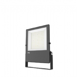 LED Flood Light
